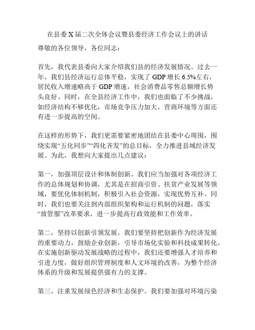 在县委X届二次全体会议暨县委经济工作会议上的讲话