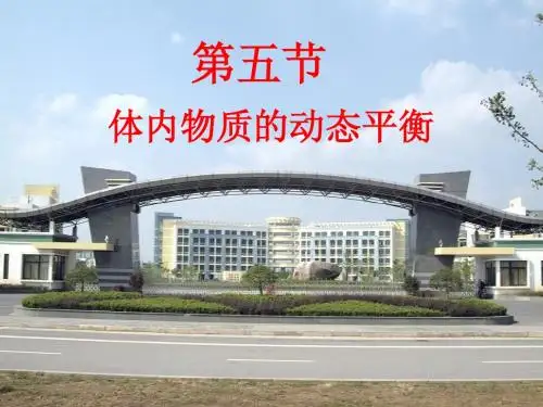 第五节 体内物质的动态平衡