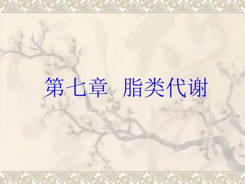 第七章脂类代谢