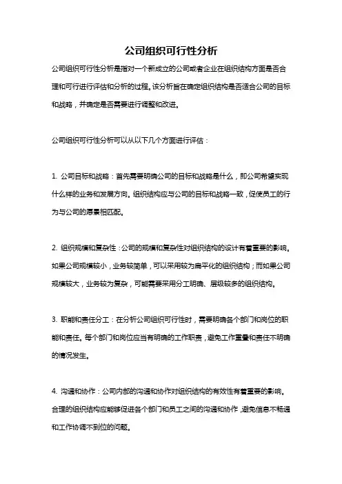 公司组织可行性分析
