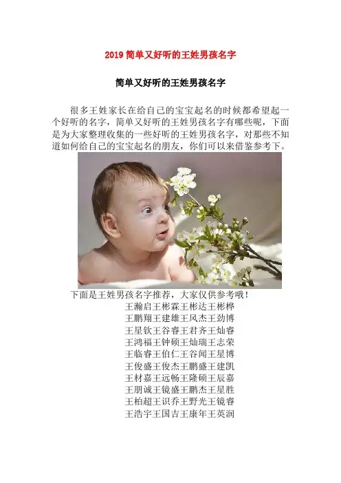 2019简单又好听的王姓男孩名字
