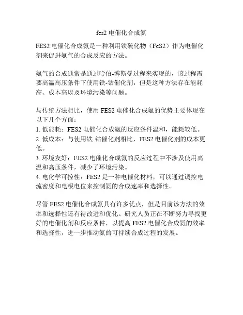 fes2 电催化合成氨