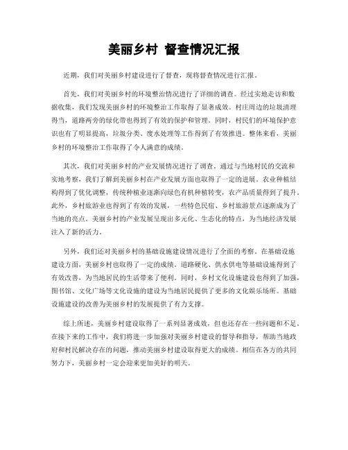 美丽乡村 督查情况汇报