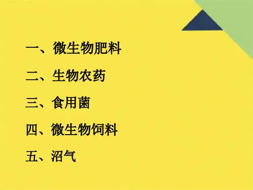 微生物在农业上的应用共26张PPT课件