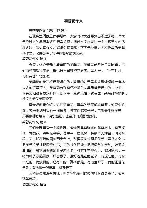 芙蓉花作文（通用37篇）