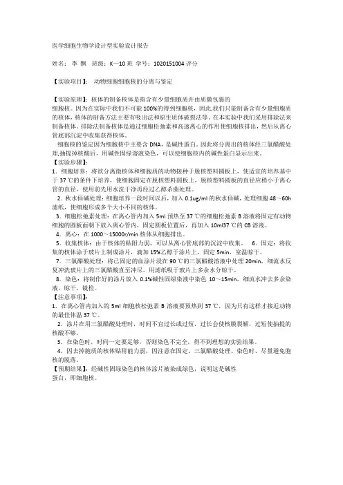 实验设计-细胞核的提取与鉴定
