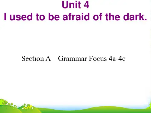 人教版初中英语课标版 九年级第四单元Section A Grammar focus 4a—4c-课件