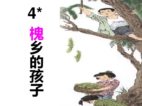 4、《槐乡的孩子》课件
