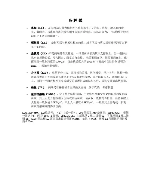 各种梁的表示法及说明