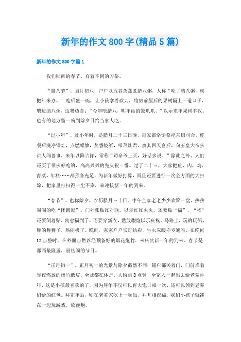 新年的作文800字(精品5篇)