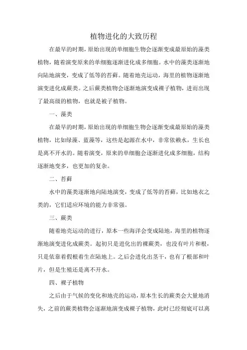 植物进化的大致历程