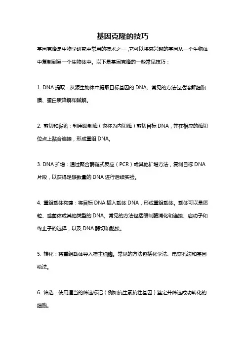 基因克隆的技巧
