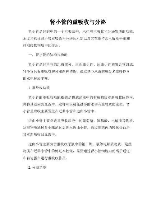 肾小管的重吸收与分泌