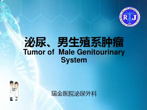 泌尿男生殖系统肿瘤ppt课件
