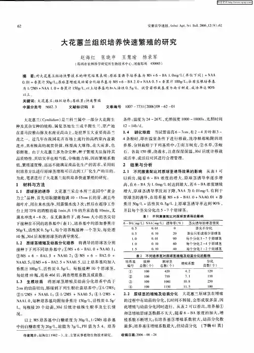 大花蕙兰组织培养快速繁殖的研究