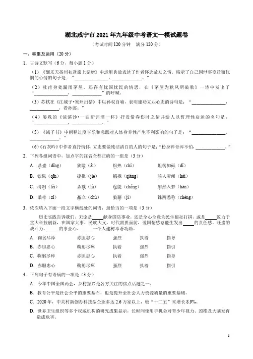 湖北咸宁市2021年九年级中考语文一模试题卷附答案解析