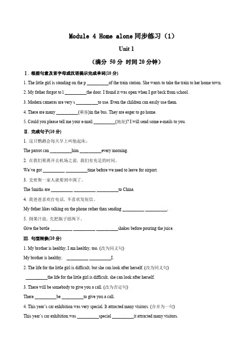 英语：外研版9年级上册课时同步练习及答案 Module 4 Home alone