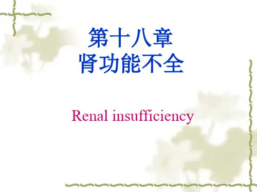 肾功能不全