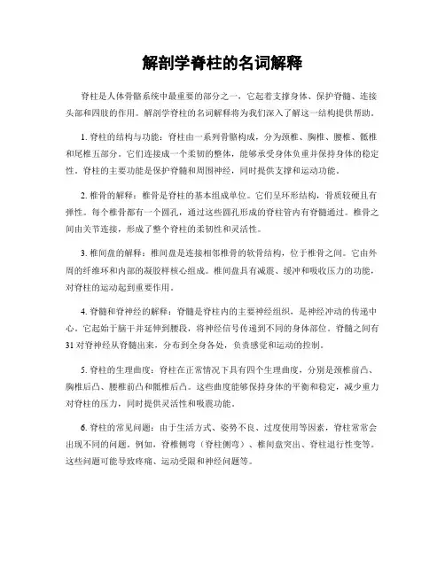 解剖学脊柱的名词解释