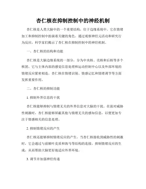 杏仁核在抑制控制中的神经机制