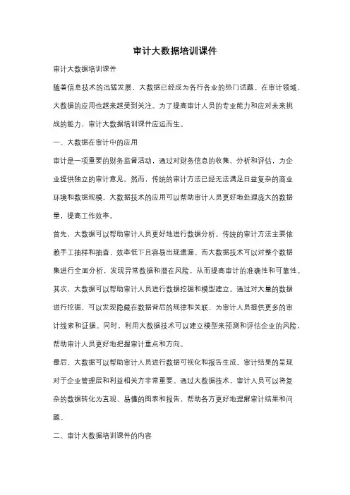 审计大数据培训课件
