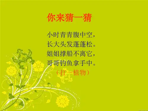 竹林深处人家00649共22页PPT资料