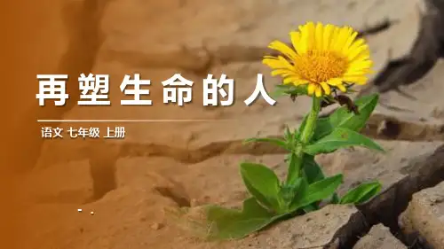 《再塑生命的人》PPT优秀课件