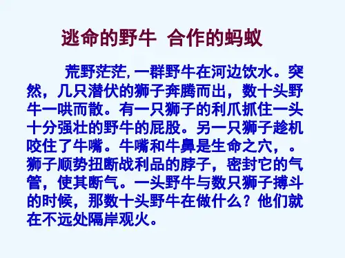 七年级政治 13《创建新集体 》课件 