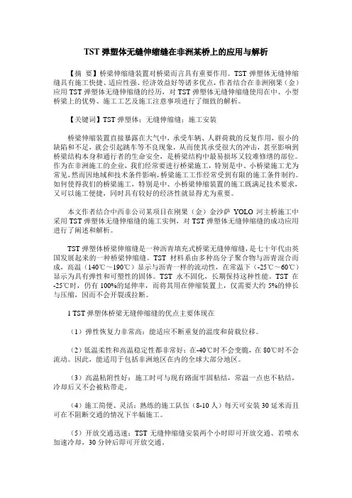 TST弹塑体无缝伸缩缝在非洲某桥上的应用与解析