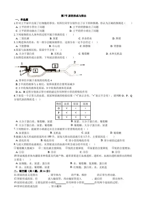 生物北师大版七年级下册第11章人体代谢废物的排出第2节 《尿的形成与排出 》同步测试2
