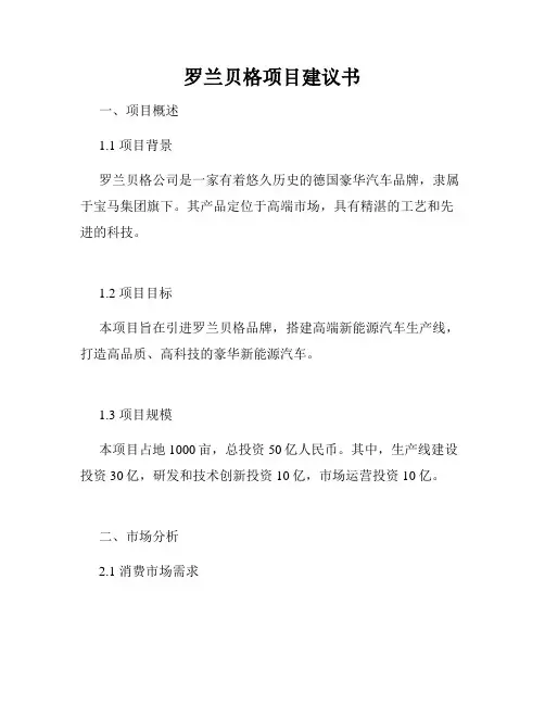 罗兰贝格项目建议书