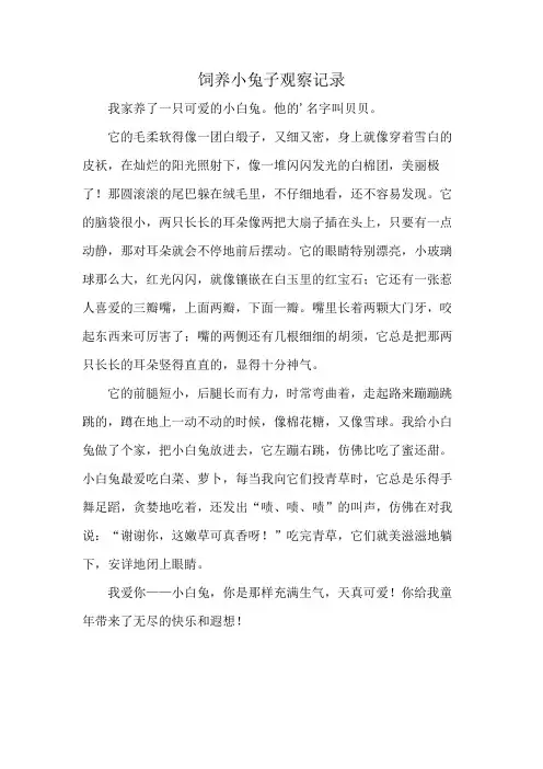饲养小兔子观察记录