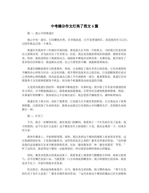 中考满分作文灯亮了范文4篇