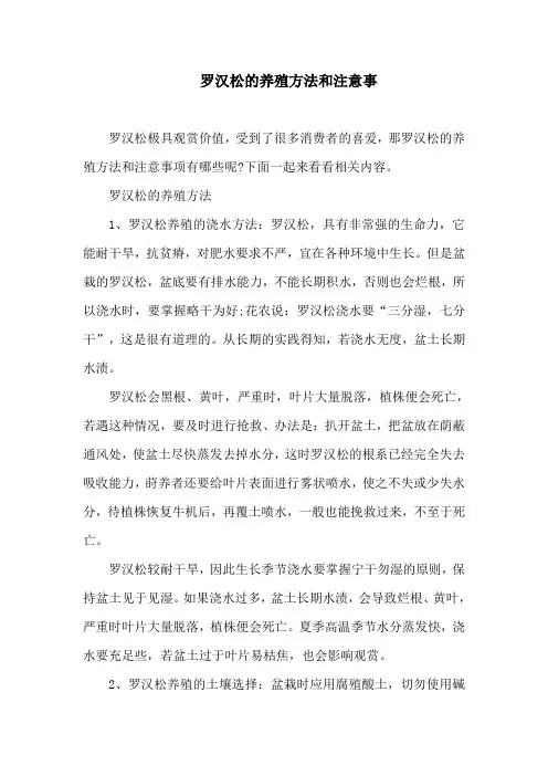 罗汉松的养殖方法和注意事