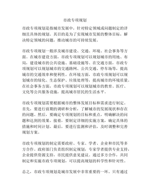 市政专项规划