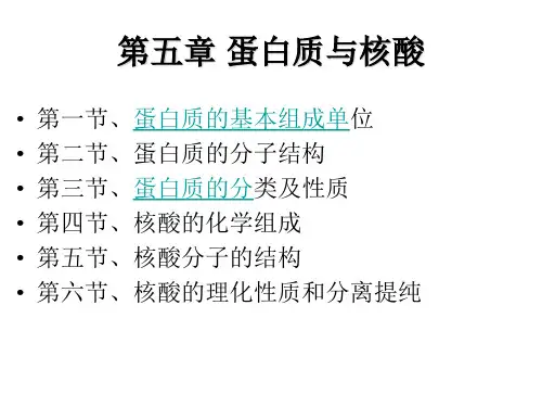 蛋白质与核酸PPT课件