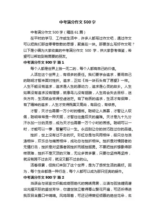 中考满分作文500字