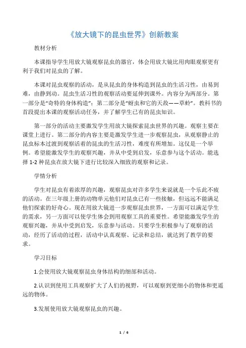教科版六年级下册科学《放大镜下的昆虫世界》