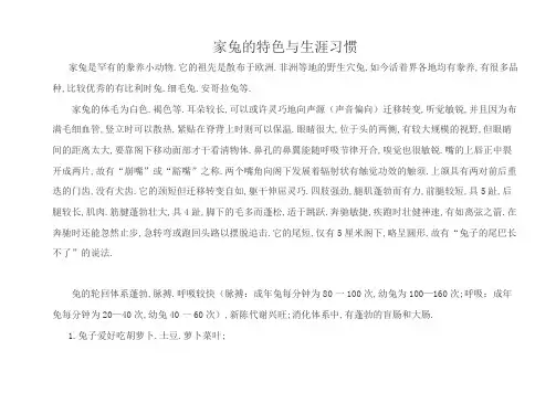 兔子的生活习性与特点