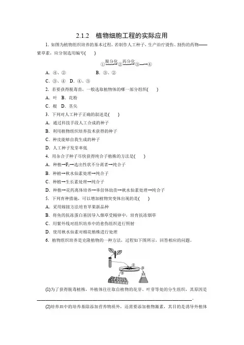 课时作业9：2.1.2 植物细胞工程的实际应用