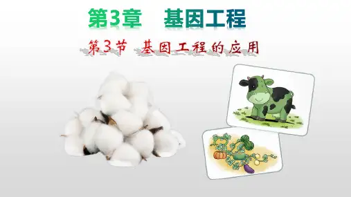 3.3 基因工程的应用(课件)-【备课精选】2021-2022学年高二生物下学期同步优质资源(人教版