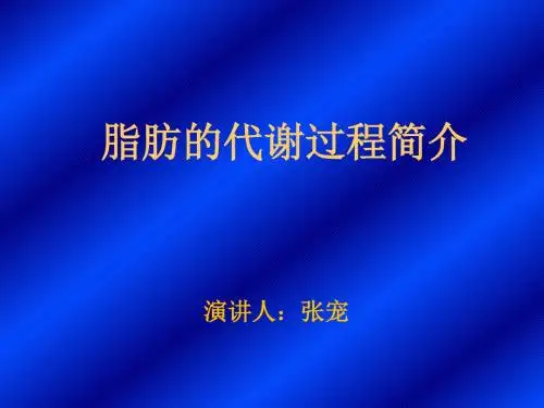 脂肪代谢过程简介