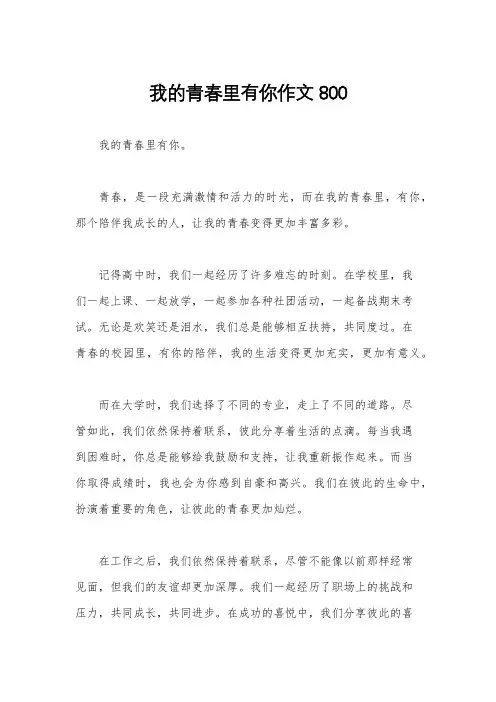 我的青春里有你作文800