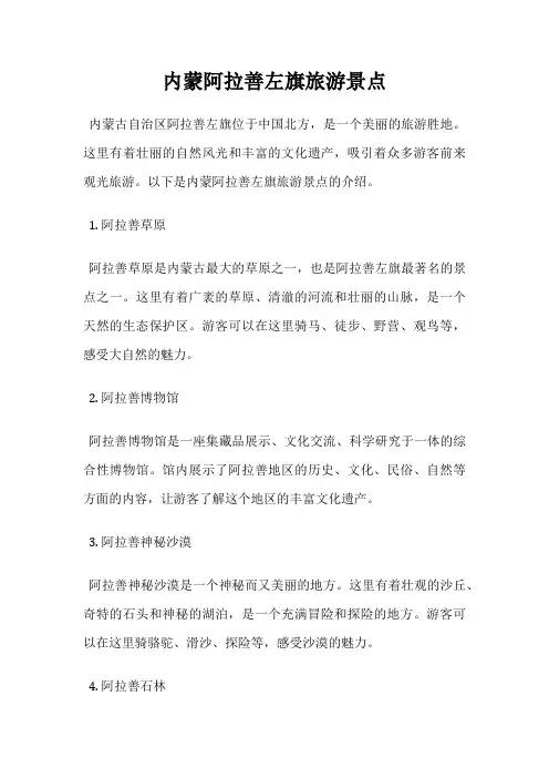 内蒙阿拉善左旗旅游景点