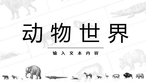 动物世界动物介绍主题课件PPT保护野生动物PPT课件(带内容)