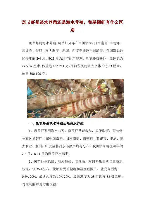 斑节虾是淡水养殖还是海水养殖,和基围虾有什么区别