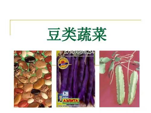 豆类蔬菜栽培技术