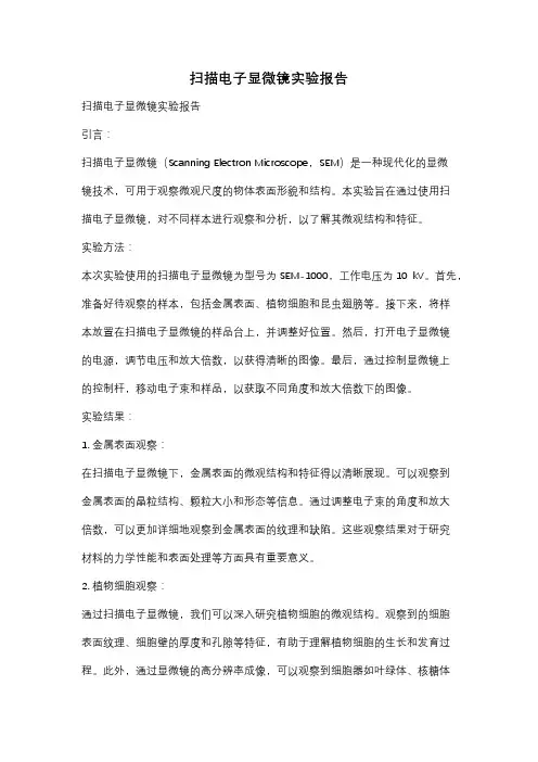 扫描电子显微镜实验报告