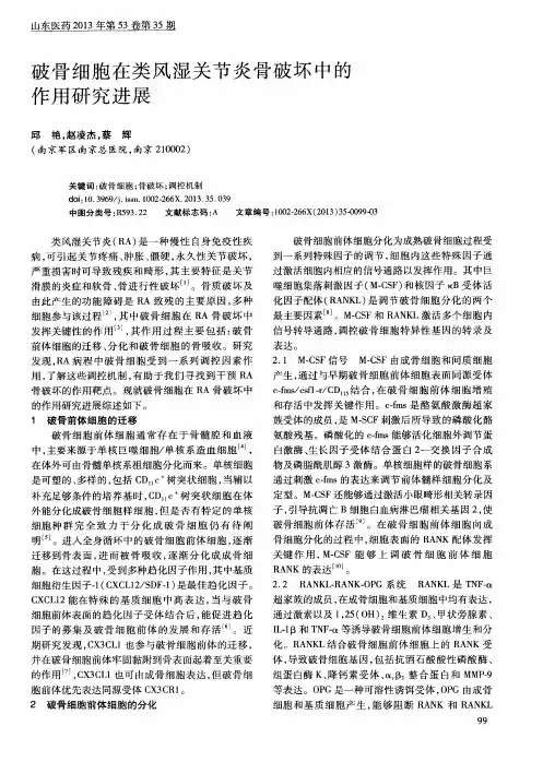 破骨细胞在类风湿关节炎骨破坏中的作用研究进展
