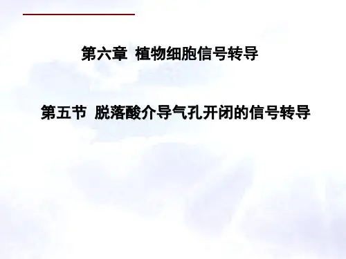 脱落酸介导气孔开闭的信号转导